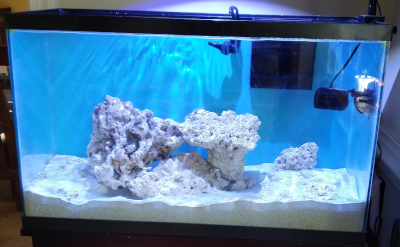 Display Tank full view