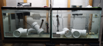 quarantine tanks side by
side